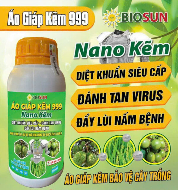 NANO KẼM